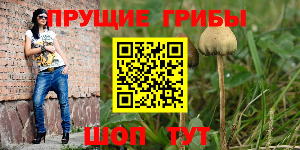 Псилоцибиновые грибы Magic Shrooms  Вход с VPN  продажа наркотиков  Йошкар-Ола 